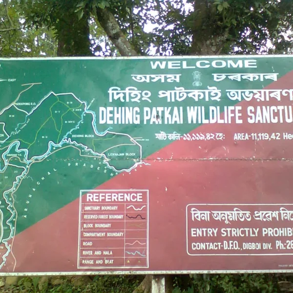 Dehing Patkai Wildlife Sanctuary