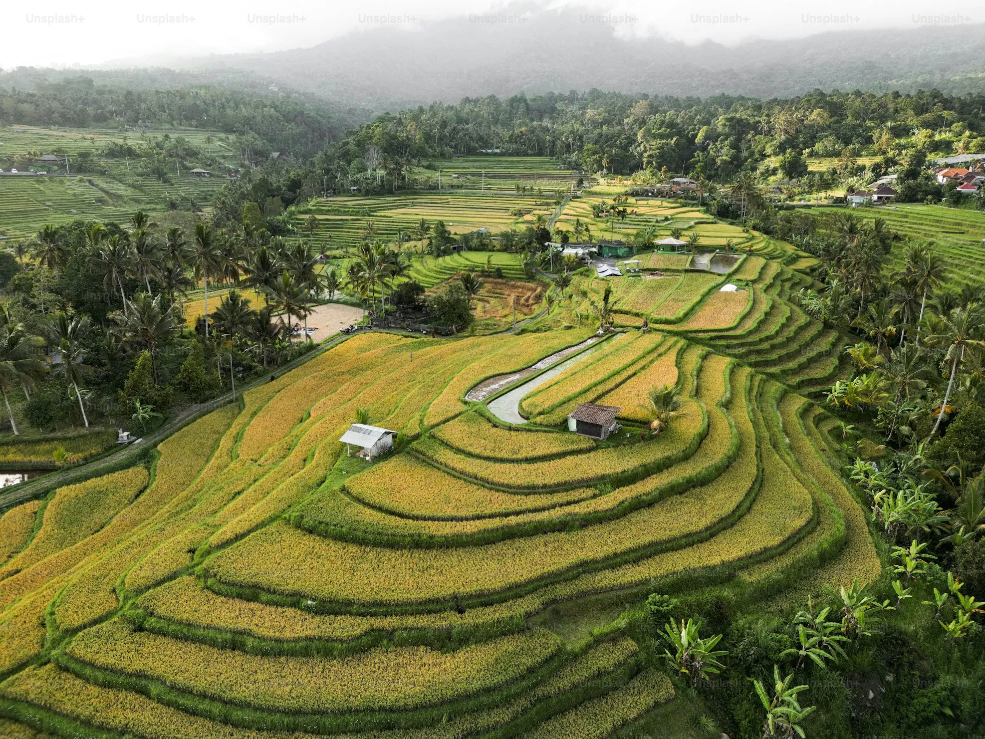 Tegallalang Rice Terraces in Bali